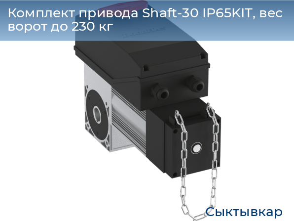 Комплект привода Shaft-30 IP65KIT, вес ворот до 230 кг, syktyvkar.doorhan.ru