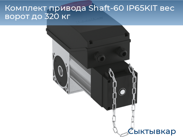 Комплект привода Shaft-60 IP65KIT вес ворот до 320 кг, syktyvkar.doorhan.ru