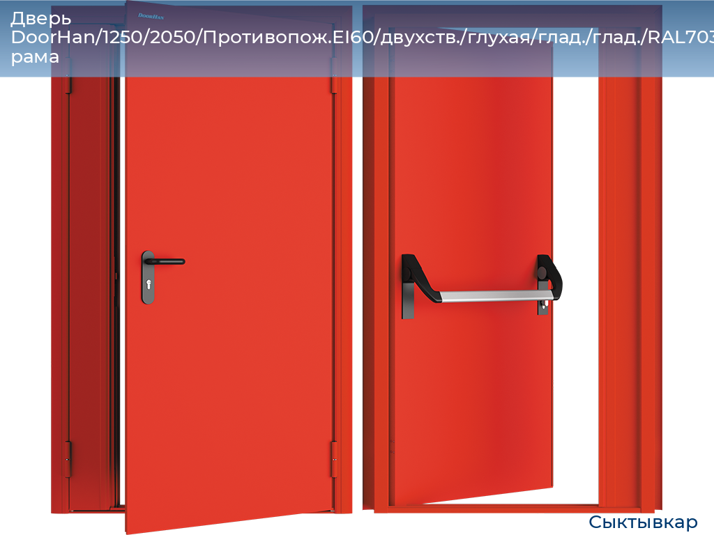 Дверь DoorHan/1250/2050/Противопож.EI60/двухств./глухая/глад./глад./RAL7035/лев./угл. рама, syktyvkar.doorhan.ru