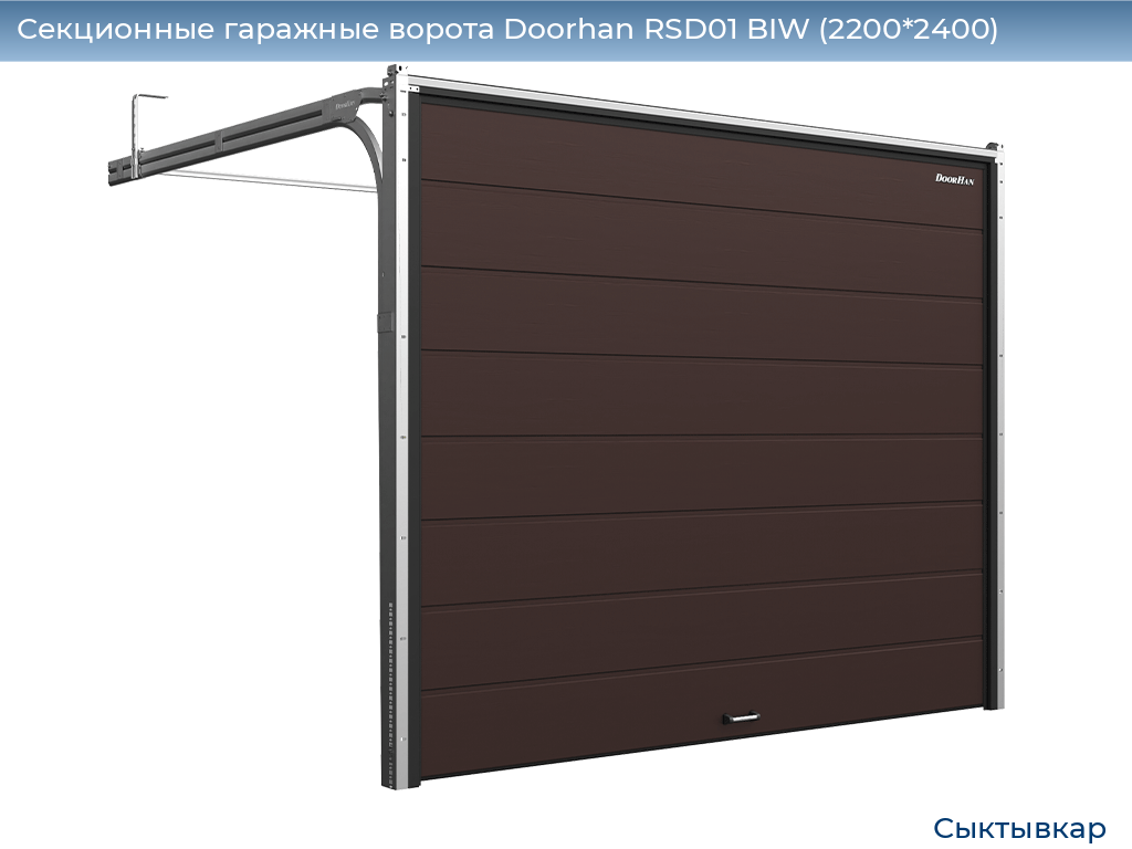 Секционные гаражные ворота Doorhan RSD01 BIW (2200*2400), syktyvkar.doorhan.ru