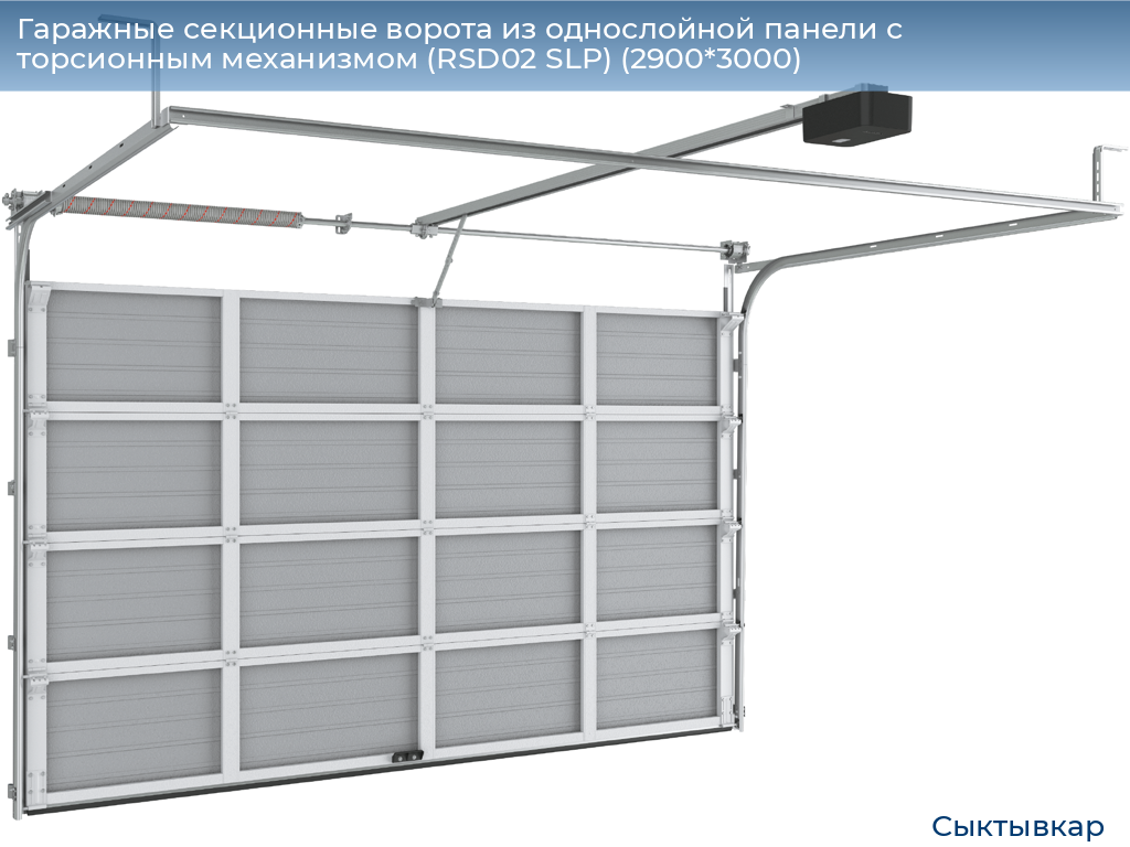 Гаражные секционные ворота из однослойной панели с торсионным механизмом (RSD02 SLP) (2900*3000), syktyvkar.doorhan.ru