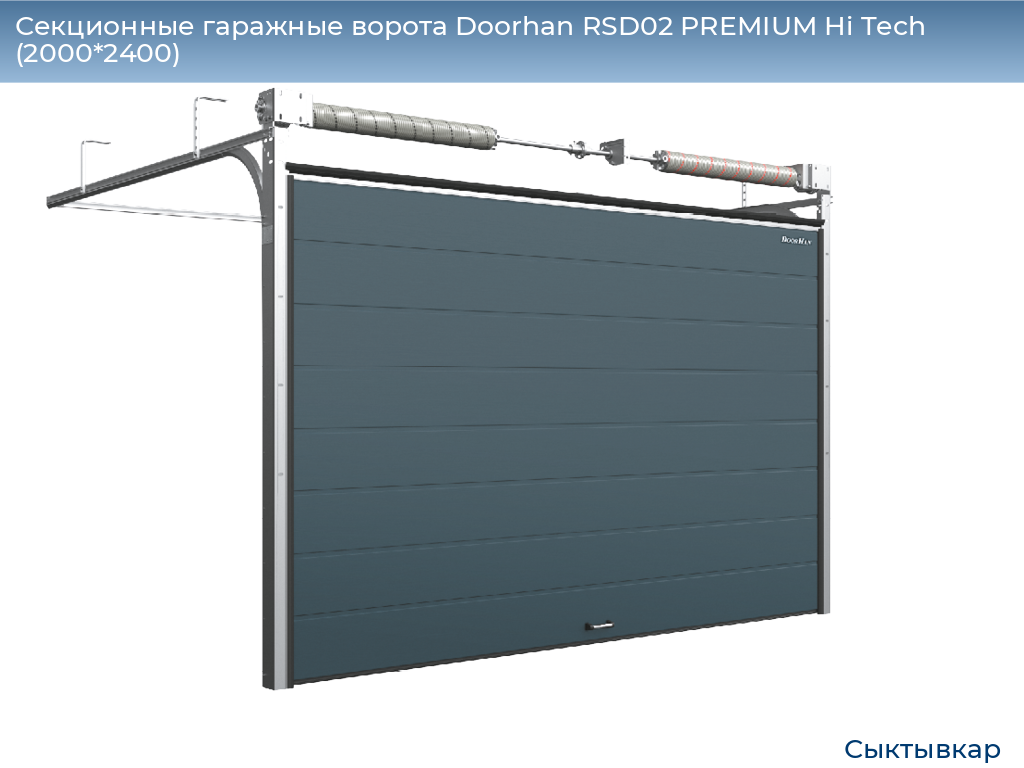 Секционные гаражные ворота Doorhan RSD02 PREMIUM Hi Tech (2000*2400), syktyvkar.doorhan.ru