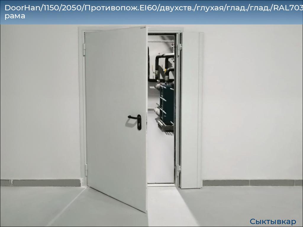 DoorHan/1150/2050/Противопож.EI60/двухств./глухая/глад./глад./RAL7035/лев./угл. рама, syktyvkar.doorhan.ru