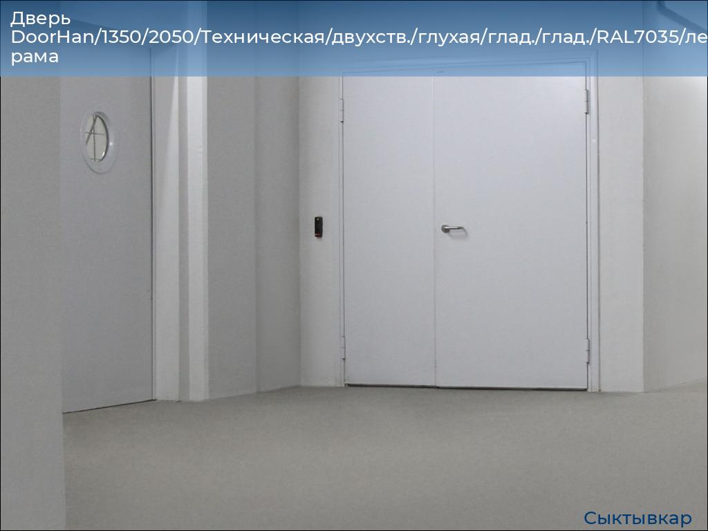 Дверь DoorHan/1350/2050/Техническая/двухств./глухая/глад./глад./RAL7035/лев./угл. рама, syktyvkar.doorhan.ru