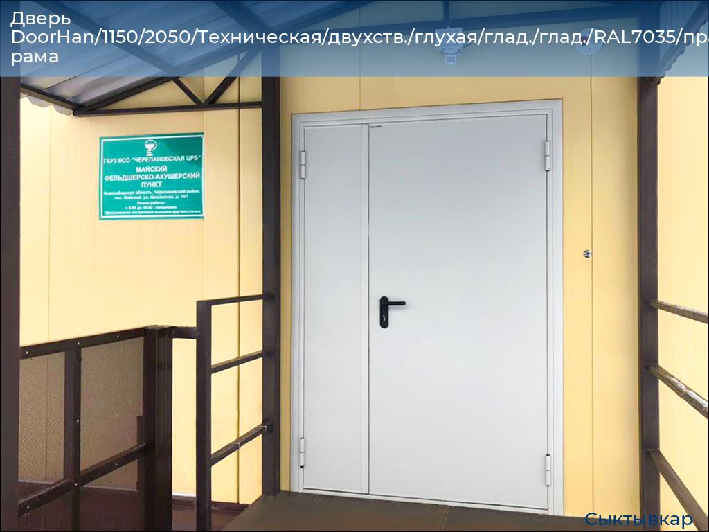 Дверь DoorHan/1150/2050/Техническая/двухств./глухая/глад./глад./RAL7035/прав./угл. рама, syktyvkar.doorhan.ru