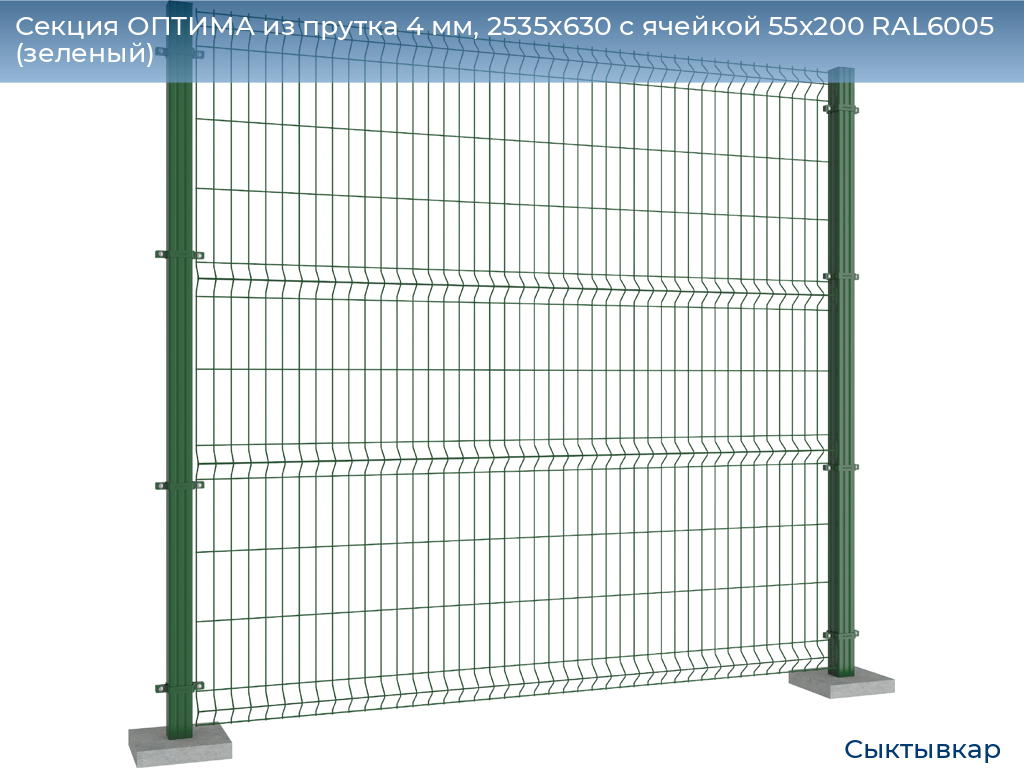 Секция ОПТИМА из прутка 4 мм, 2535x630 с ячейкой 55х200 RAL6005 (зеленый), syktyvkar.doorhan.ru