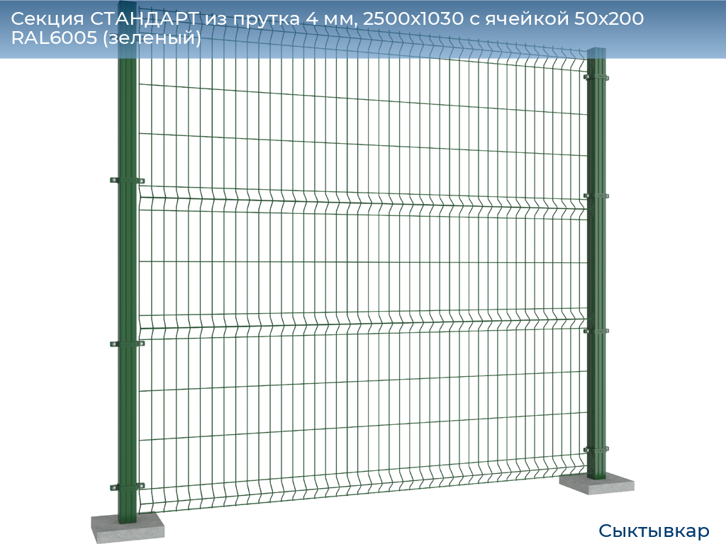 Секция СТАНДАРТ из прутка 4 мм, 2500x1030 с ячейкой 50х200 RAL6005 (зеленый), syktyvkar.doorhan.ru