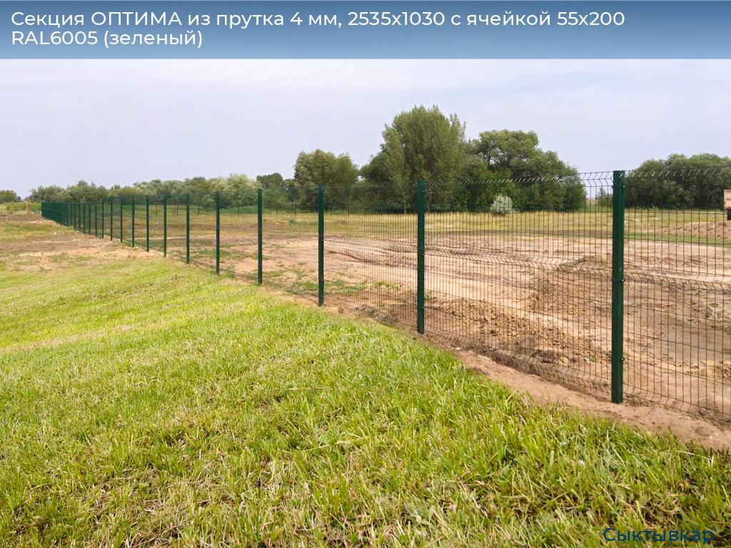 Секция ОПТИМА из прутка 4 мм, 2535x1030 с ячейкой 55х200 RAL6005 (зеленый), syktyvkar.doorhan.ru
