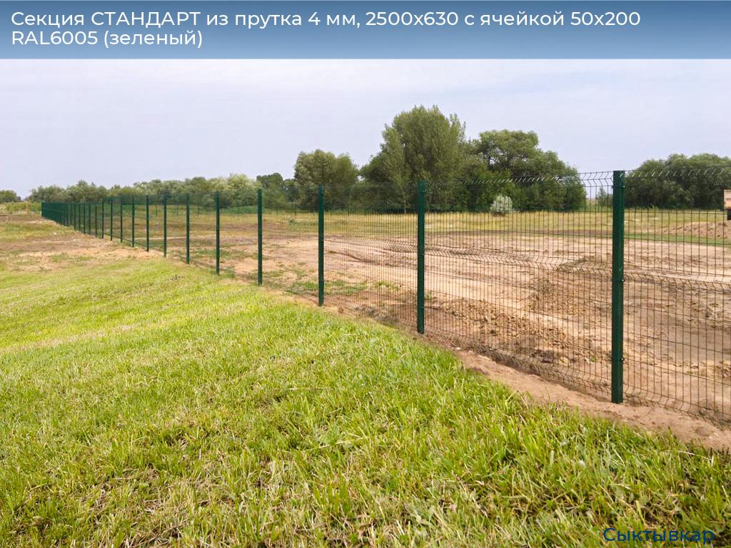Секция СТАНДАРТ из прутка 4 мм, 2500x630 с ячейкой 50х200 RAL6005 (зеленый), syktyvkar.doorhan.ru