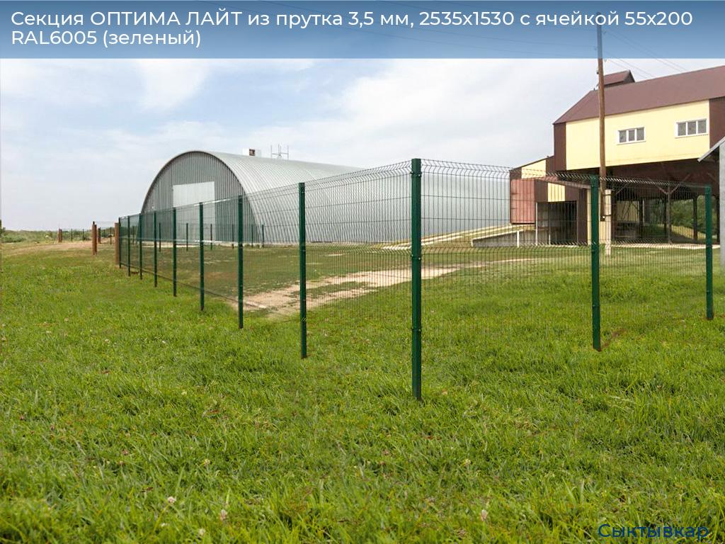 Секция ОПТИМА ЛАЙТ из прутка 3,5 мм, 2535x1530 с ячейкой 55х200 RAL6005 (зеленый), syktyvkar.doorhan.ru