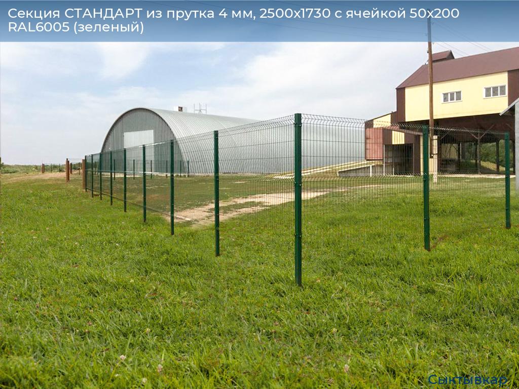 Секция СТАНДАРТ из прутка 4 мм, 2500x1730 с ячейкой 50х200 RAL6005 (зеленый) , syktyvkar.doorhan.ru