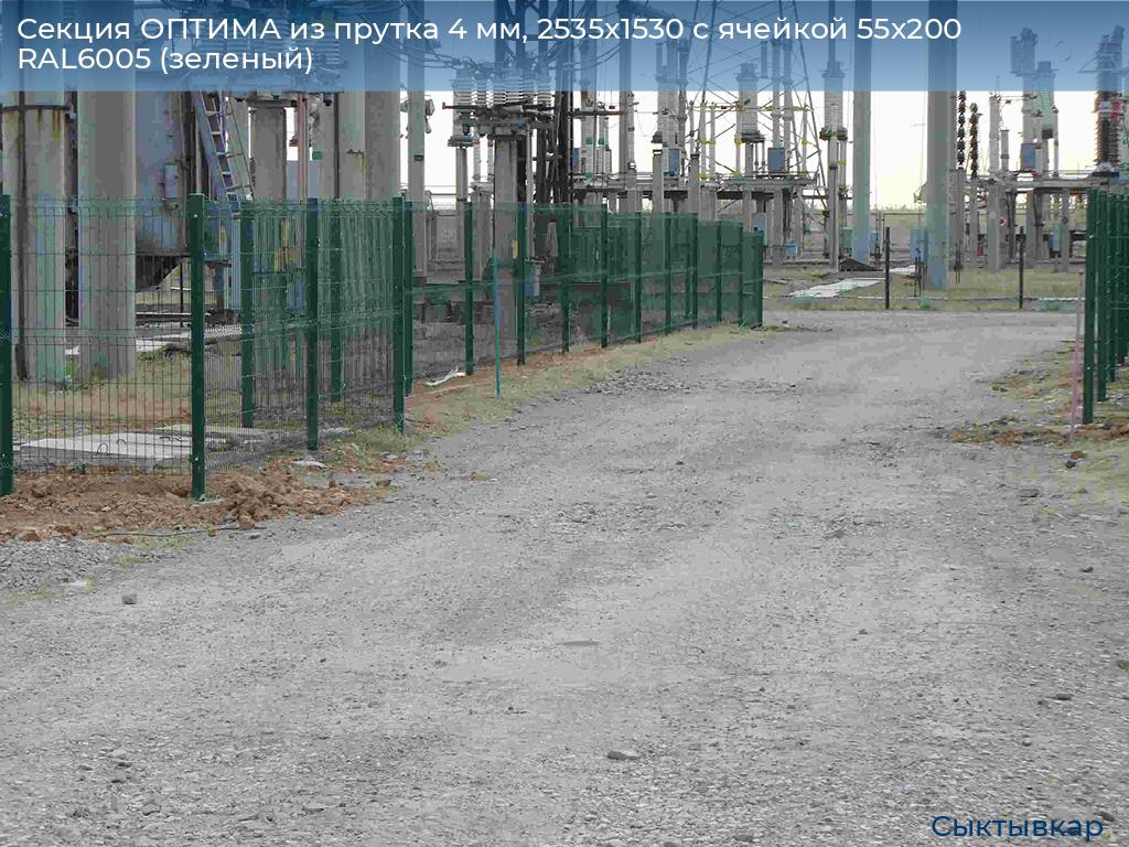 Секция ОПТИМА из прутка 4 мм, 2535x1530 с ячейкой 55х200 RAL6005 (зеленый), syktyvkar.doorhan.ru