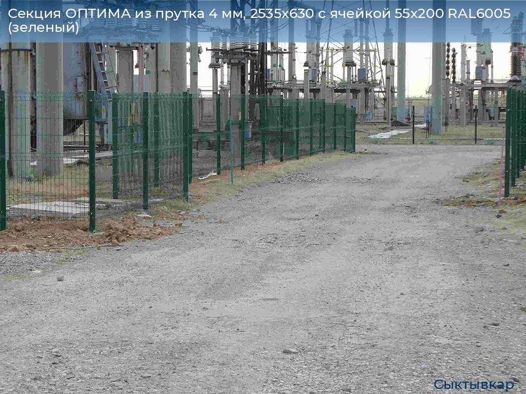 Секция ОПТИМА из прутка 4 мм, 2535x630 с ячейкой 55х200 RAL6005 (зеленый), syktyvkar.doorhan.ru