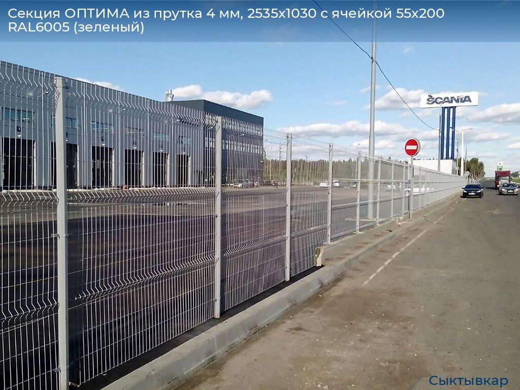 Секция ОПТИМА из прутка 4 мм, 2535x1030 с ячейкой 55х200 RAL6005 (зеленый), syktyvkar.doorhan.ru