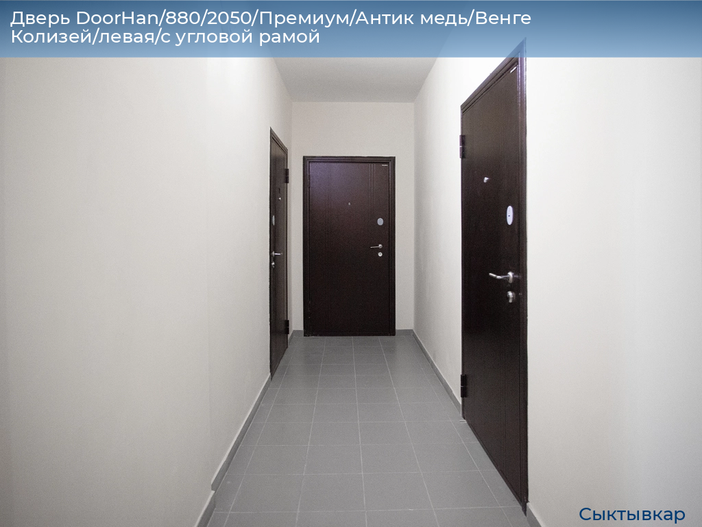 Дверь DoorHan/880/2050/Премиум/Антик медь/Венге Колизей/левая/с угловой рамой, syktyvkar.doorhan.ru