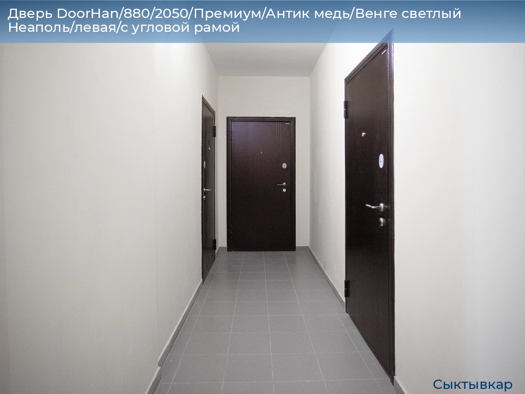 Дверь DoorHan/880/2050/Премиум/Антик медь/Венге светлый Неаполь/левая/с угловой рамой, syktyvkar.doorhan.ru