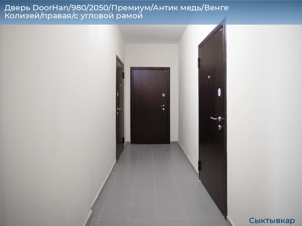 Дверь DoorHan/980/2050/Премиум/Антик медь/Венге Колизей/правая/с угловой рамой, syktyvkar.doorhan.ru