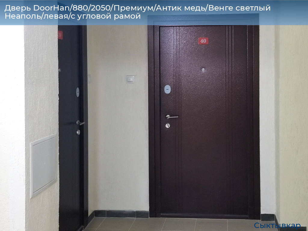 Дверь DoorHan/880/2050/Премиум/Антик медь/Венге светлый Неаполь/левая/с угловой рамой, syktyvkar.doorhan.ru