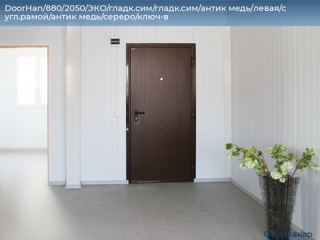 DoorHan/880/2050/ЭКО/гладк.сим/гладк.сим/антик медь/левая/с угл.рамой/антик медь/сереро/ключ-в, syktyvkar.doorhan.ru