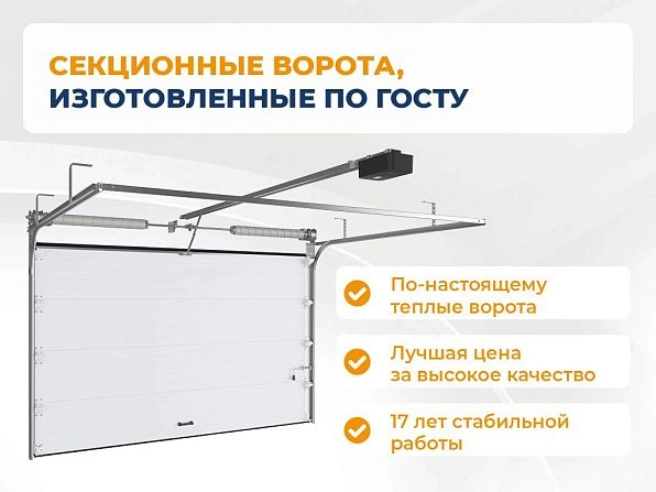 Секционные ворота 2500х2200 мм коричнево-красные DoorHan RSD02, syktyvkar.doorhan.ru